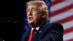 Trump's comments on a united Ireland may have targeted audience across the Atlantic